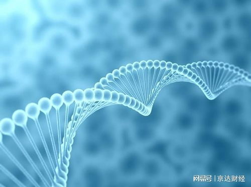 寒冬中的反思 生物科技行業(yè)資本冷遇與技術(shù)推廣的困境