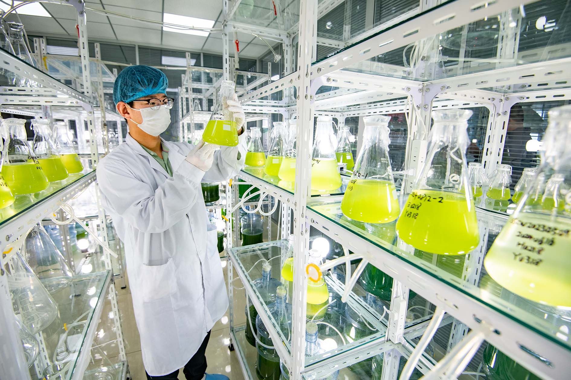 德州地福來生物科技:研發(fā)與推廣并重 微藻肥田10萬畝